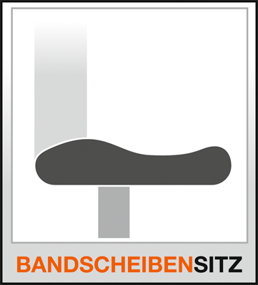 Bürodrehstuhl, Sitz-BxTxH 480x480x430-510 mm, Lehnenh. 580 mm, Netzrücken, Punkt-Synchronm., Bandscheibensitz, schwarz.